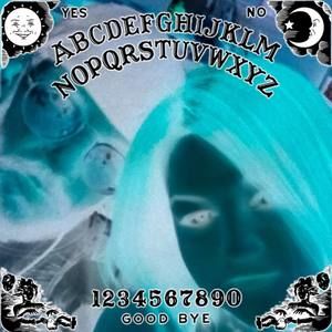 Meet your Posher, Greg